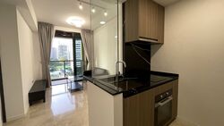 Irwell Hill Residences (D9), Apartment #448327571